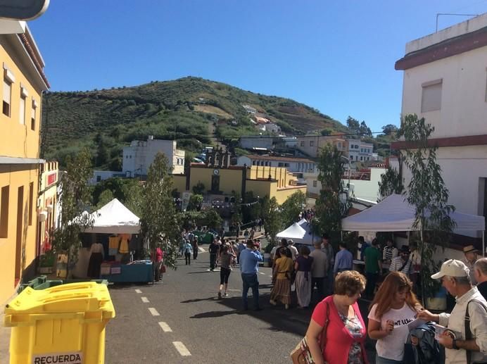 Montaña Alta de Guía celebra los 40 años de la Fiesta de Queso