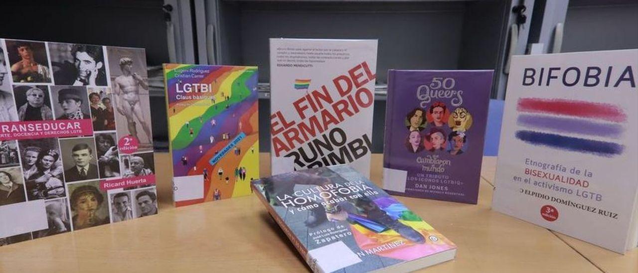 Imagen de los libros de la polémica.