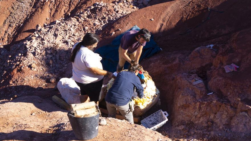 Hallan en el yacimiento de Loarre al menos 12 huevos más de dinosaurio