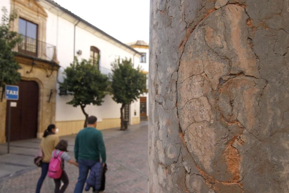 Los habitantes de la Mezquita Catedral del mioceno