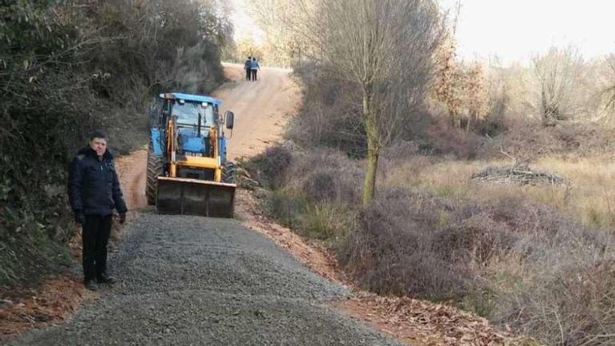 Obras de reparación de los caminos de concentración en Codesal.