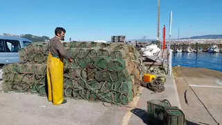 La prohibición de la pesca de pulpo se hace efectiva hasta el 1 de julio