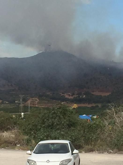 Incendio forestal en Benifairó de les Valls.