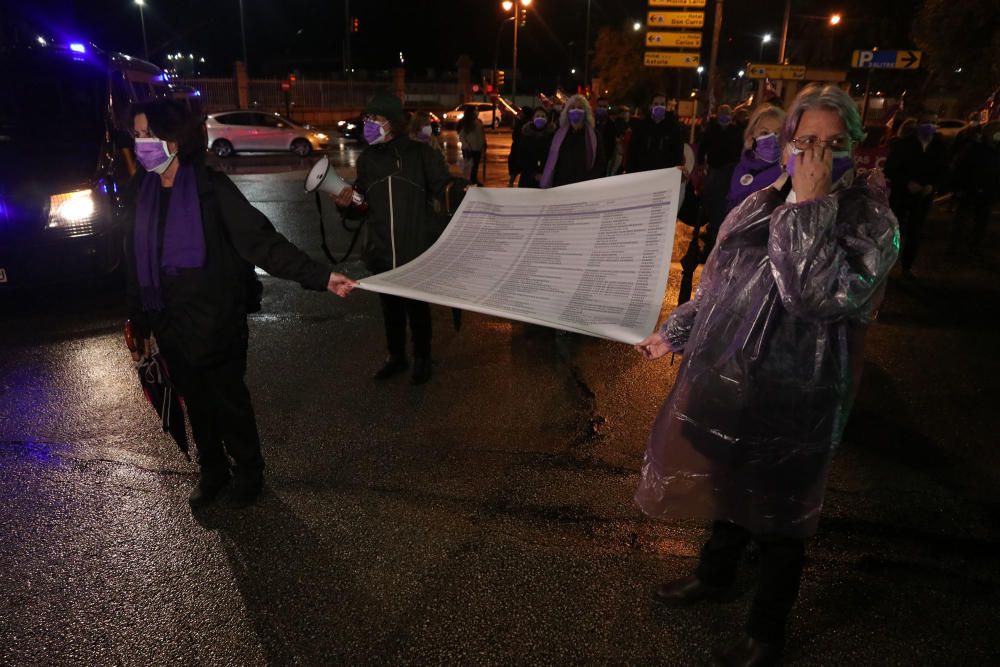 La manifestación por el 25N en Málaga, en imágenes