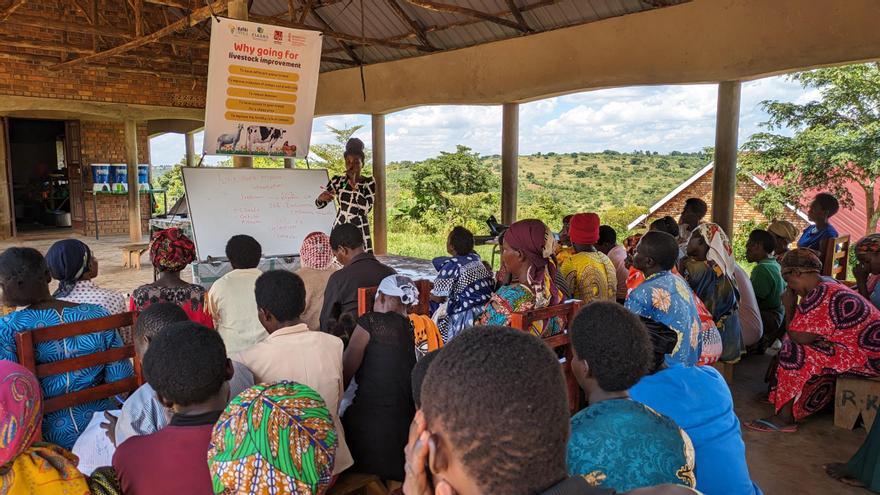 La ONG alicantina Rafiki África da de comer a 750 niños y construye un hospital en Uganda