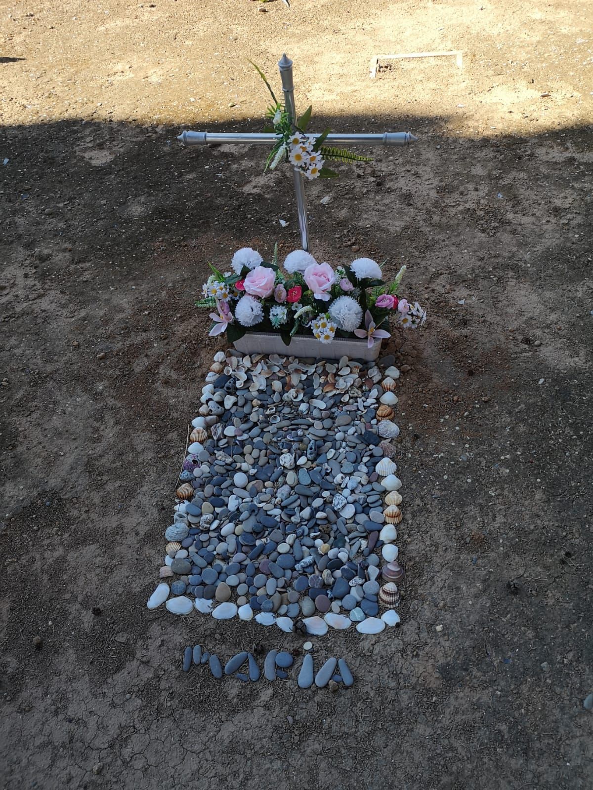 Todos los Santos sin gente en el cementerio de València