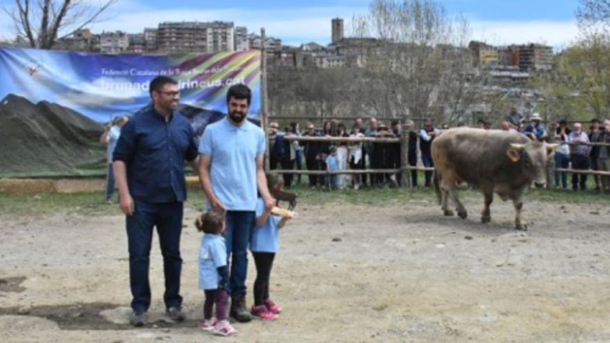 Una vedella berguedana-aranesa guanya la categoria jove del Concurs Nacional de la Vaca Bruna dels Pirineus