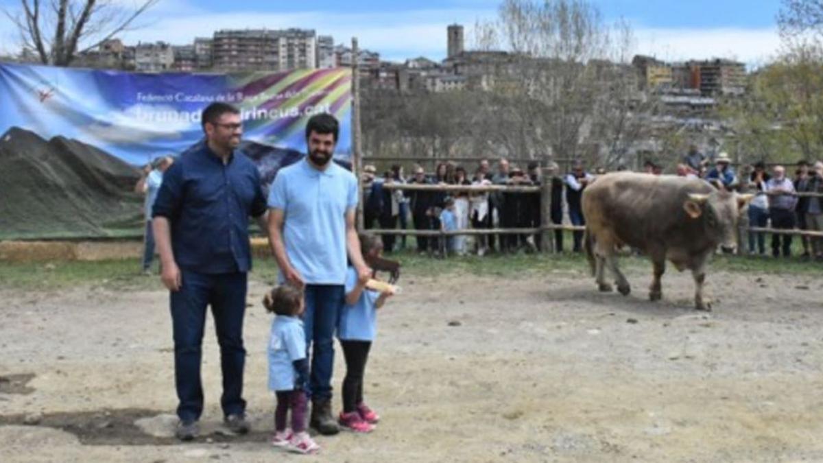 Una vedella berguedana-aranesa guanya la categoria jove del Concurs Nacional de la Vaca Bruna dels Pirineus | ARXIU PARTICULAR