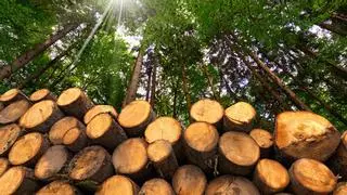 El Cabildo de La Palma busca nuevas salidas económicas para los residuos agrarios