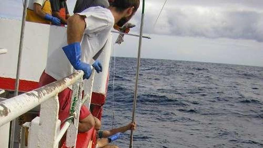 Un palangrero pescando tiburón en el Atlántico norte. // FdV