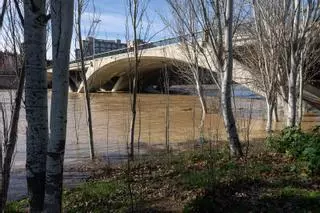 En imágenes I Así está el río Ebro a su paso por Zaragoza este lunes