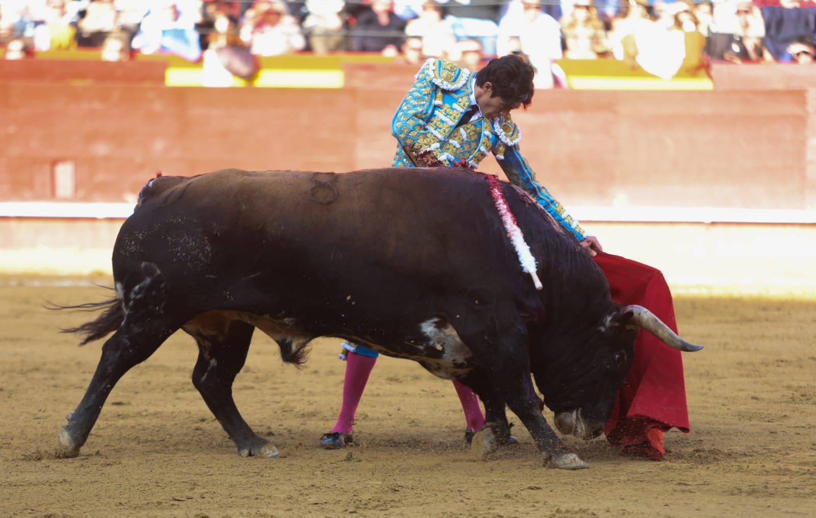 Vicente, Carmen Lomana y Enrique Ponce en la corrida de toros del 16 de marzo en València