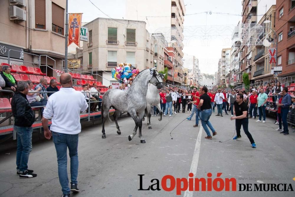 Caballos del Vino: Concurso morfológico (salida Pl