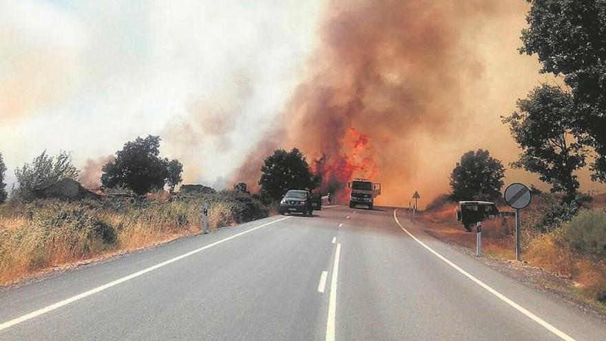 Las llamas se apoderan de la vegetación en las márgenes de la carretera N-525 en la zona de Entrepeñas.