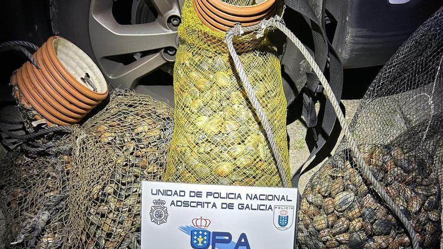 Furtivismo: decomisados 20 kg de percebe en O Portiño, en A Coruña, y 123 kg de almeja en Ferrol