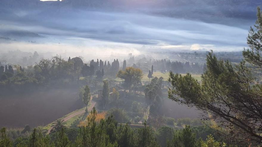 La elevada contaminación proviene, mayoritariamente, por las quemas de rastrojos y restos de poda que se realizan en los huertos de Sóller.  | JOAN MORA