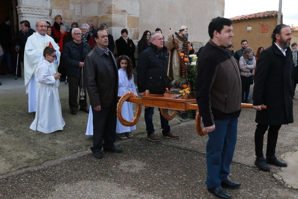 Celebración del día de san Antón en Monfarracinos.