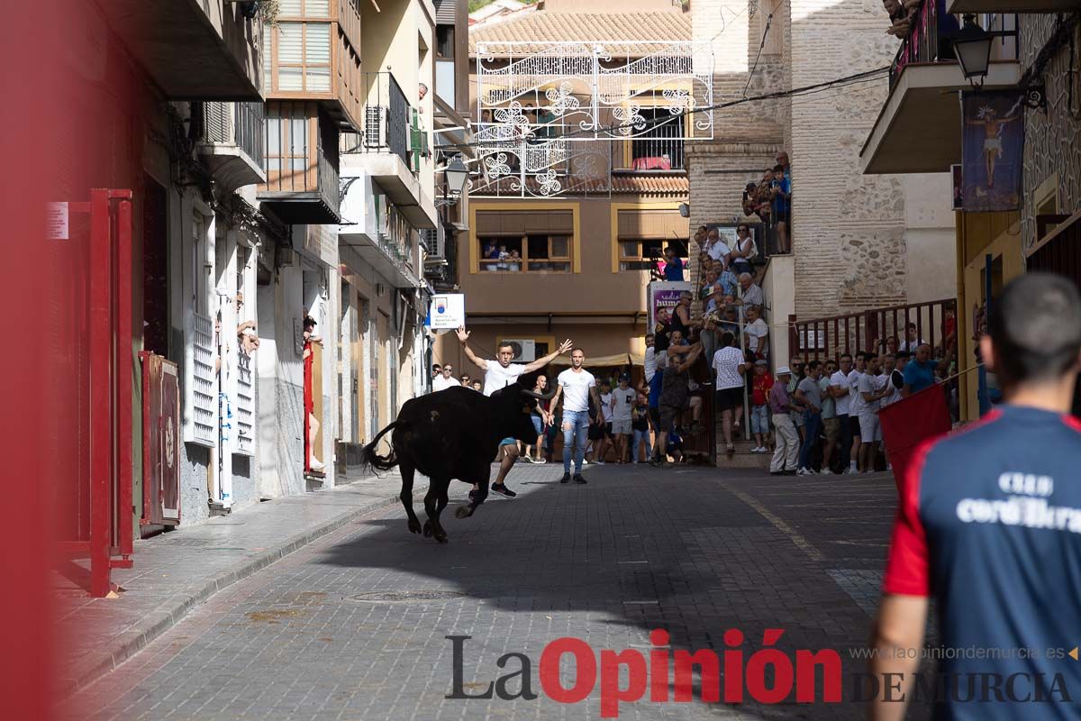 Séptimo encierro de las Fiestas de Moratalla