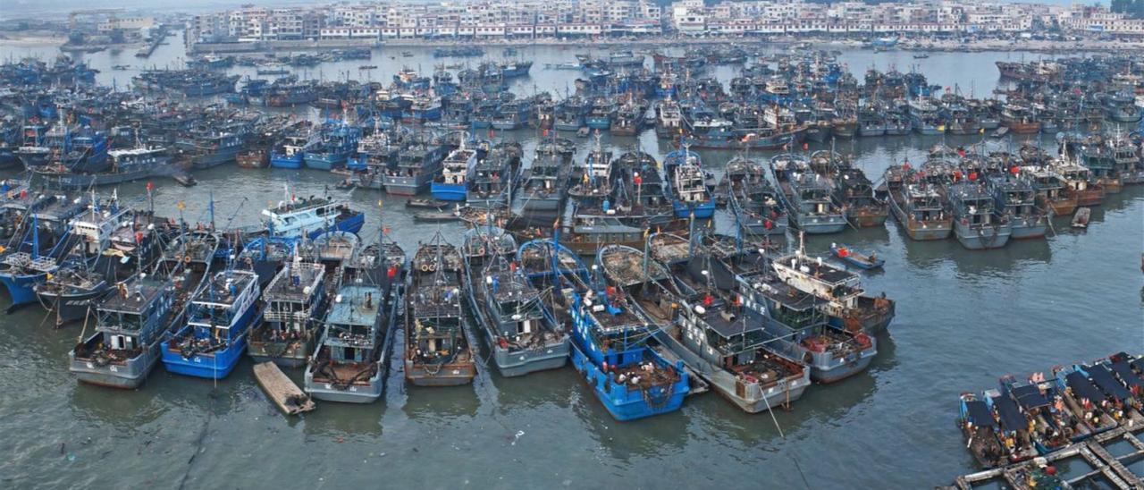 Flota pesquera china en el puerto de Zhangzhou, en Fujian, una de las mayores bases para buques de larga distancia.