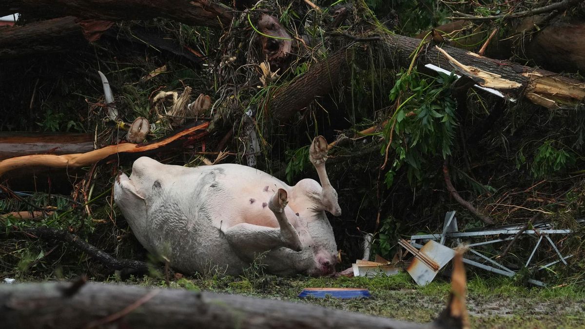 Al menos 29 muertos, 9 de ellos menores, y más de 20 niñas de un campamento desaparecidas por graves inundaciones en Texas