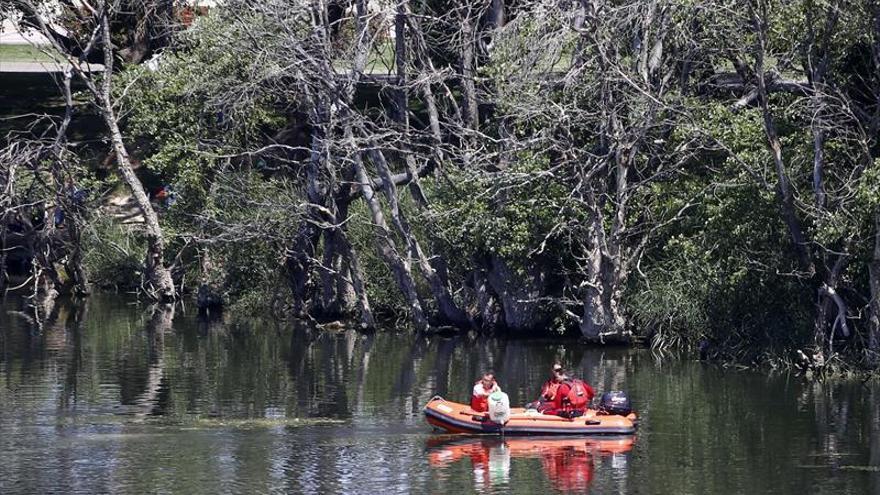 La proliferación de la mosca negra obliga al consistorio a actuar