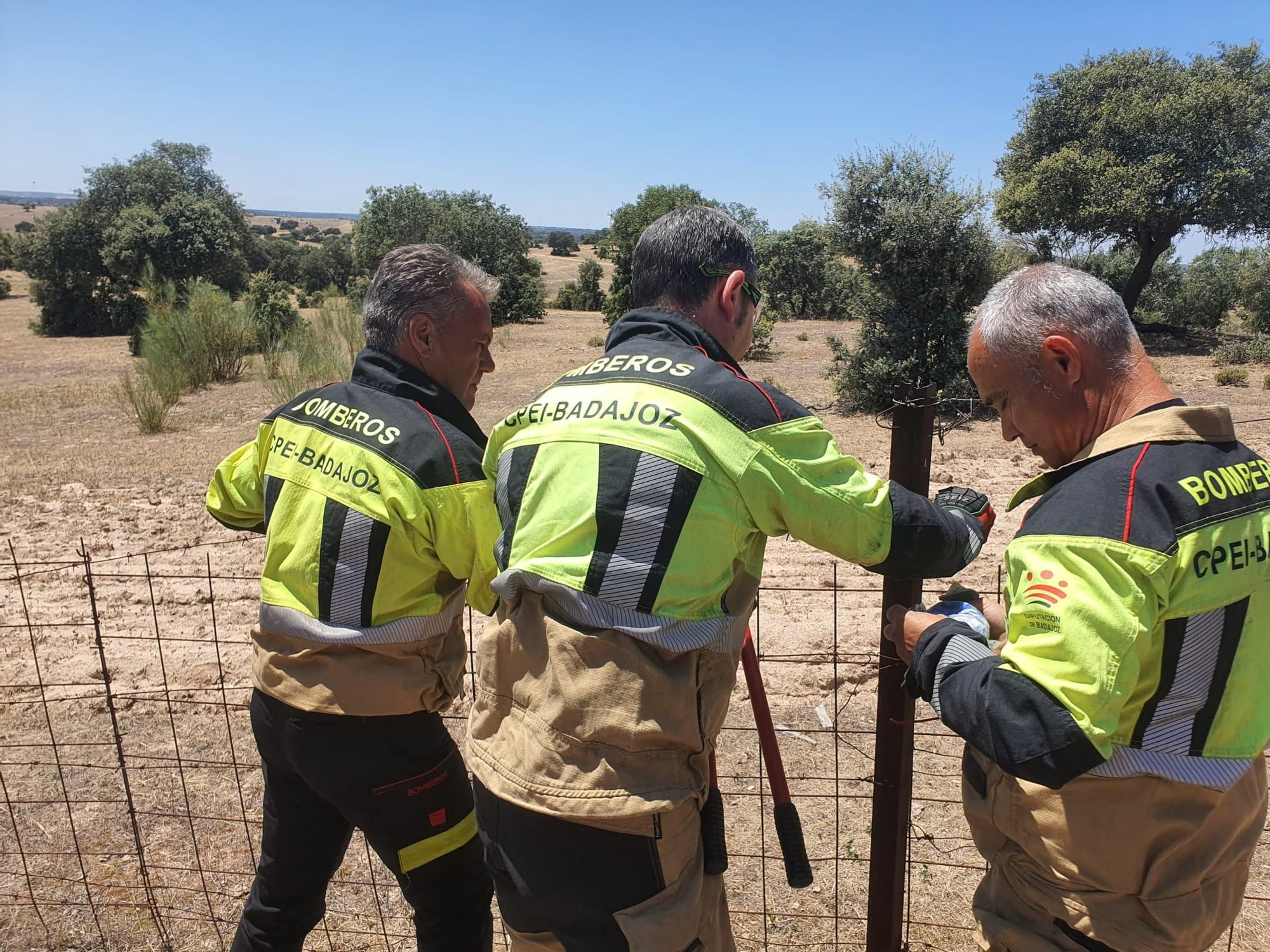 Fotogalaría | Accidente de avioneta cerca de Mérida