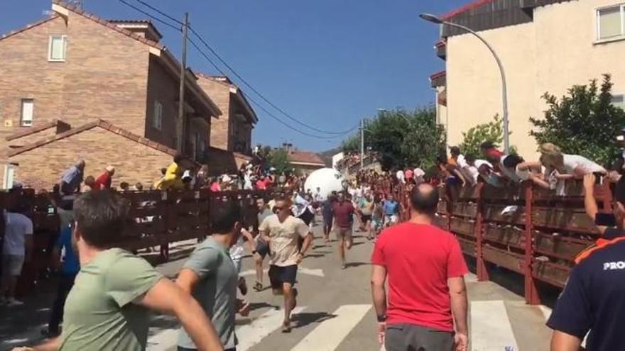 Muere un hombre corneado en un encierro en Segovia