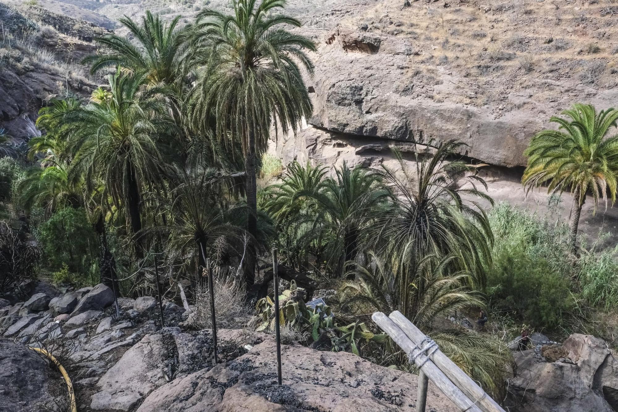 Incendio en Santa Lucía