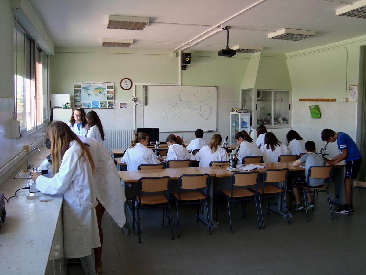 En las cooperativas de enseñanza valencianas cursan sus estudios 25.000 personas en todas las etapas educativas.