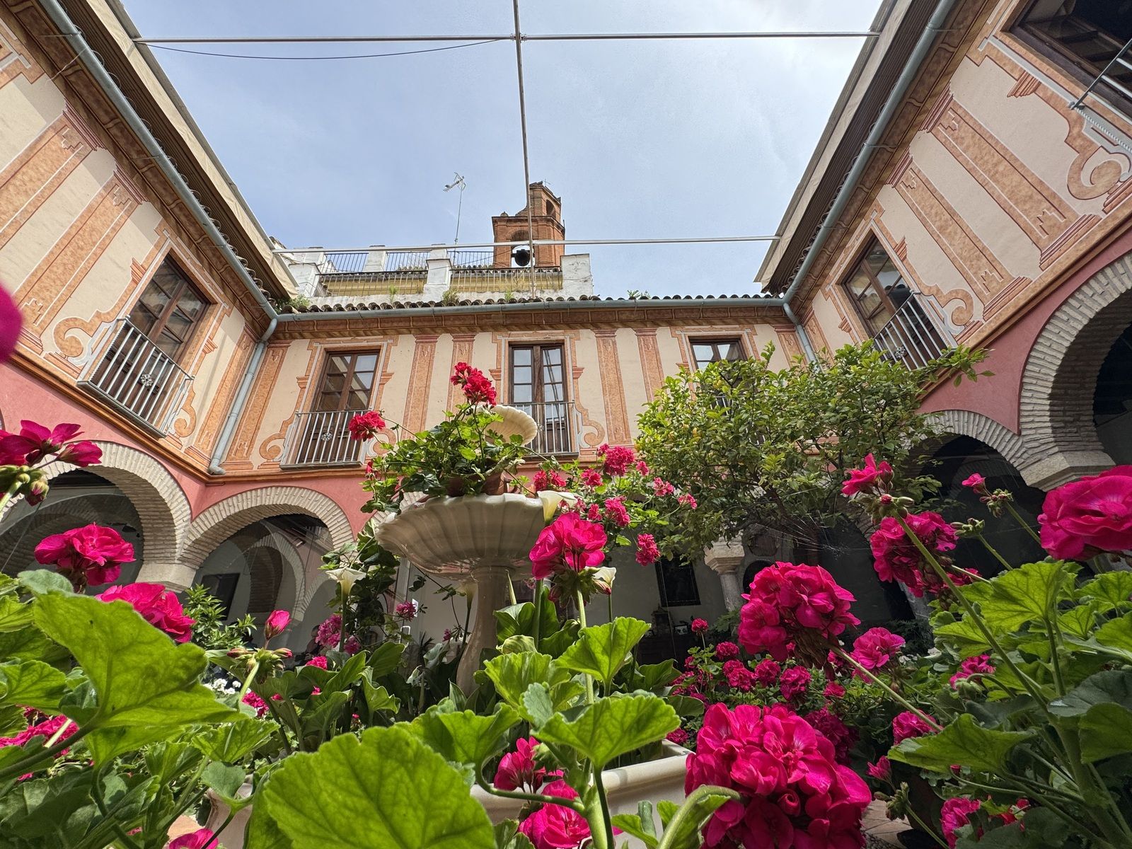 La Ruta 4 de los Patios de Córdoba, en imágenes