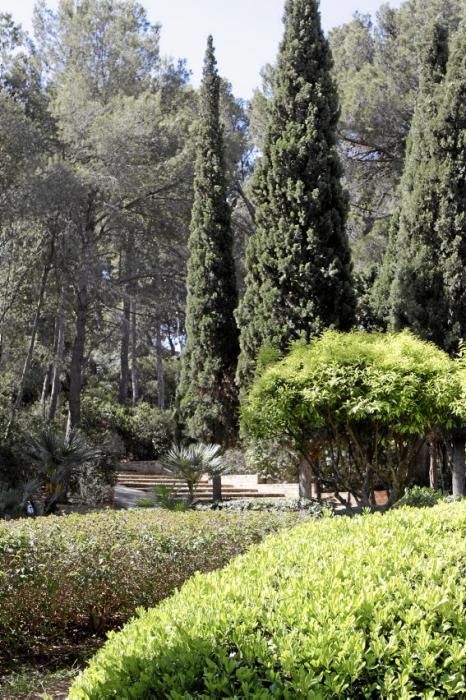 Lustwandeln wird zum Bürgerrecht. Die Gärten der königlichen Sommerresidenz in Palma öffnen erstmals für Besucher. Darüber freuen sich nicht nur Botanik-Fans, denn mit Skulpturen von Joan Miró kehr