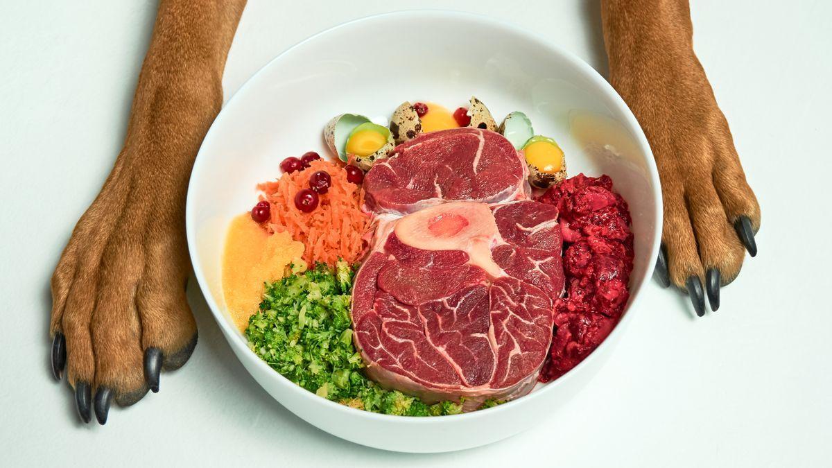 BARF PERROS | ¿Qué es la dieta BARF para gatos y perros?