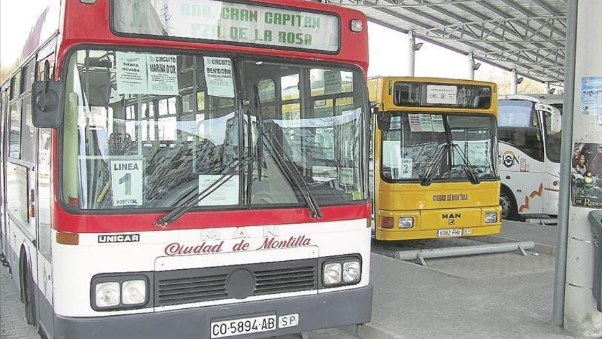 El PP pide la mejora del servicio de autobuses