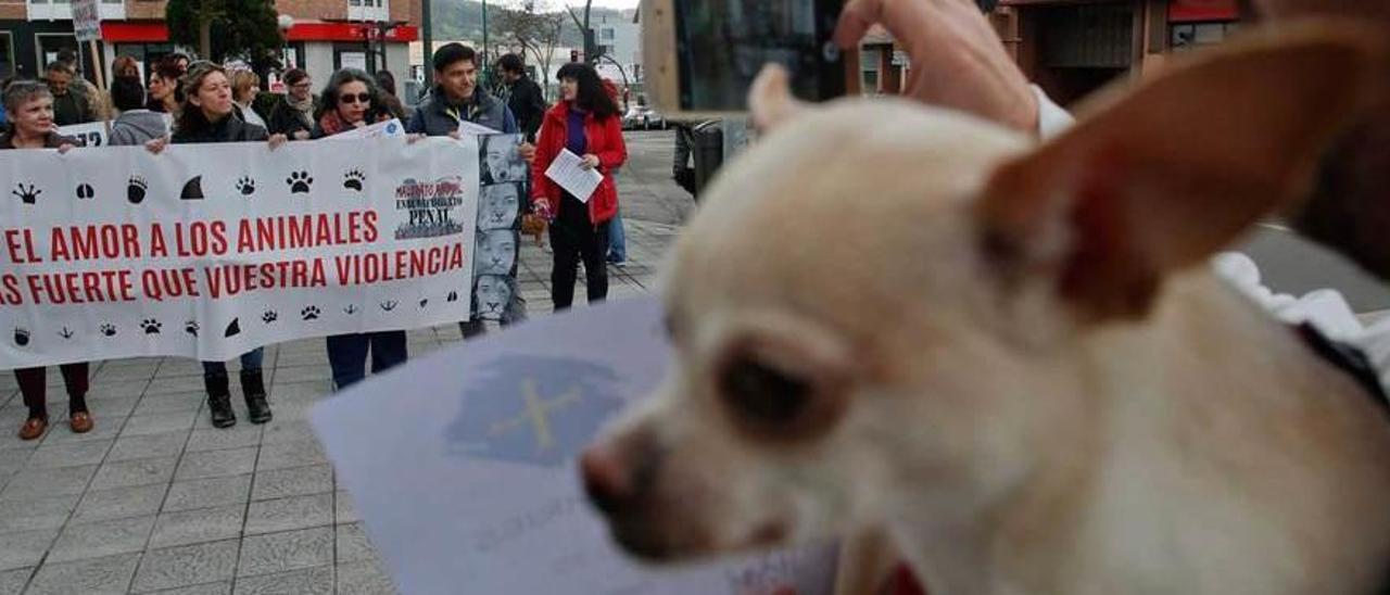 Participantes en una concentración que se celebró días atrás en Avilés contra el maltrato animal.