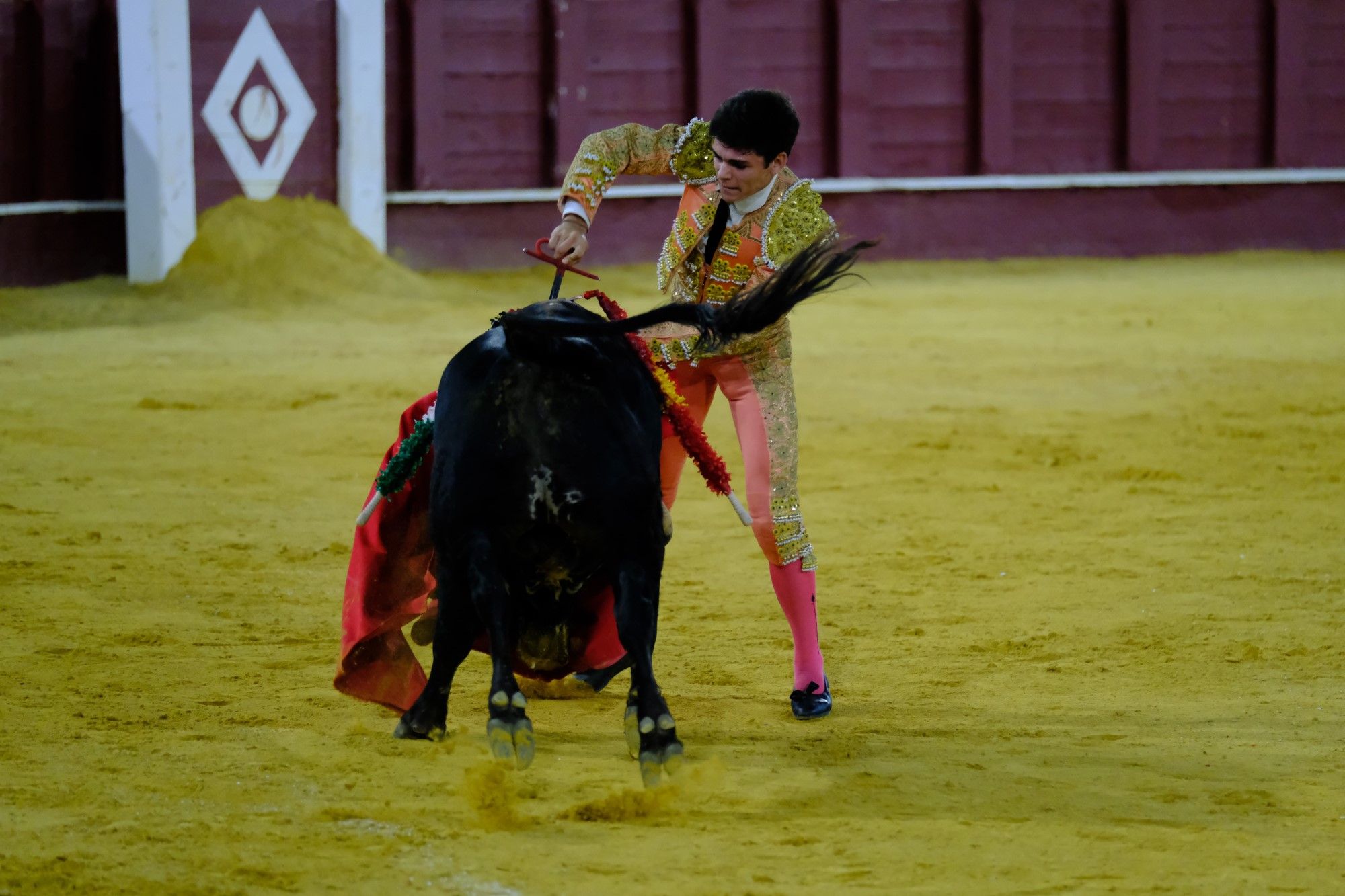 Toros en la Feria | Novena corrida de abono en La Malagueta: 3ª Semifinal de las Escuelas Taurinas