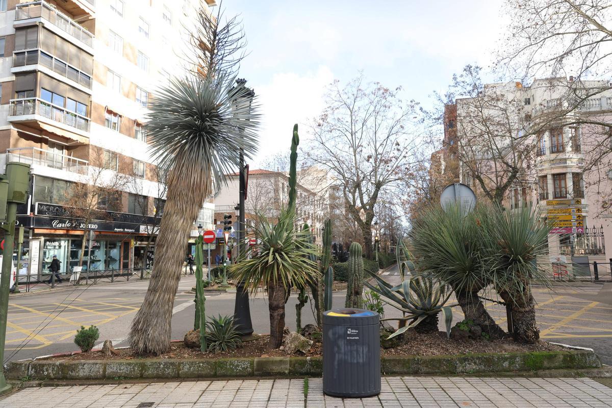 FOTOGALERÍA | La esperada reforma del Paseo de Cánovas de Cáceres, más cerca
