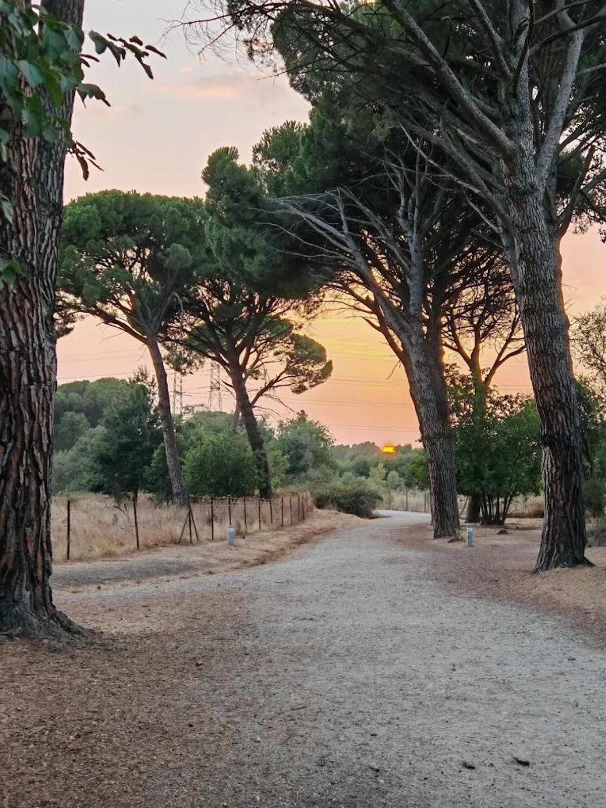 Un paseo ideal por la naturaleza.