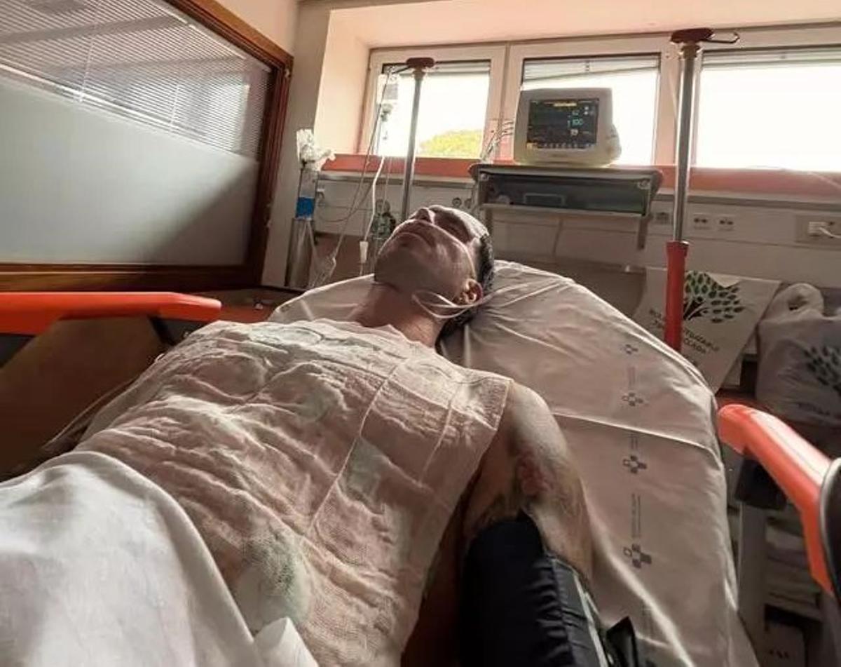 El joven, ingresado en el hospital, sufrió 27 picaduras