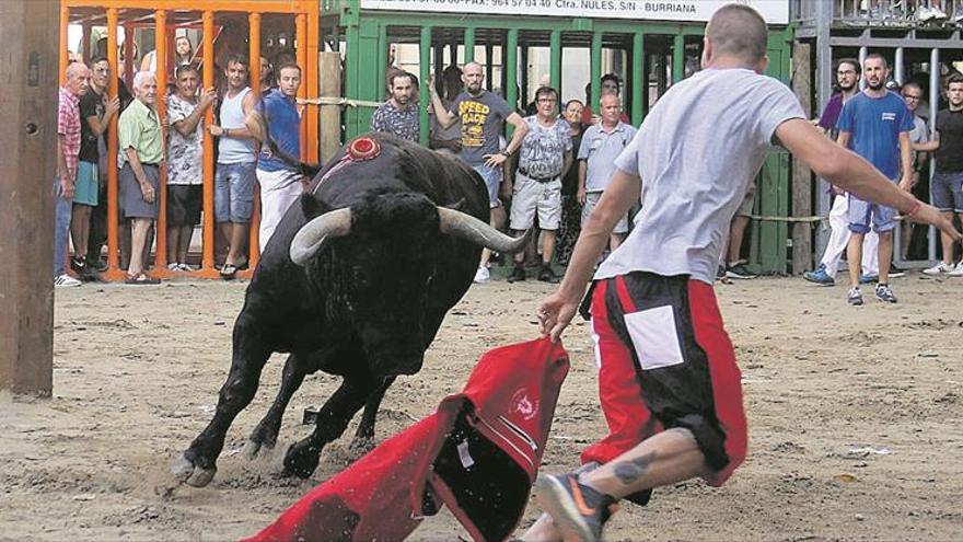 Astados de Fuente Ymbro y Buñuelos ponen la guinda en el tercer día de ‘bou de carrer’