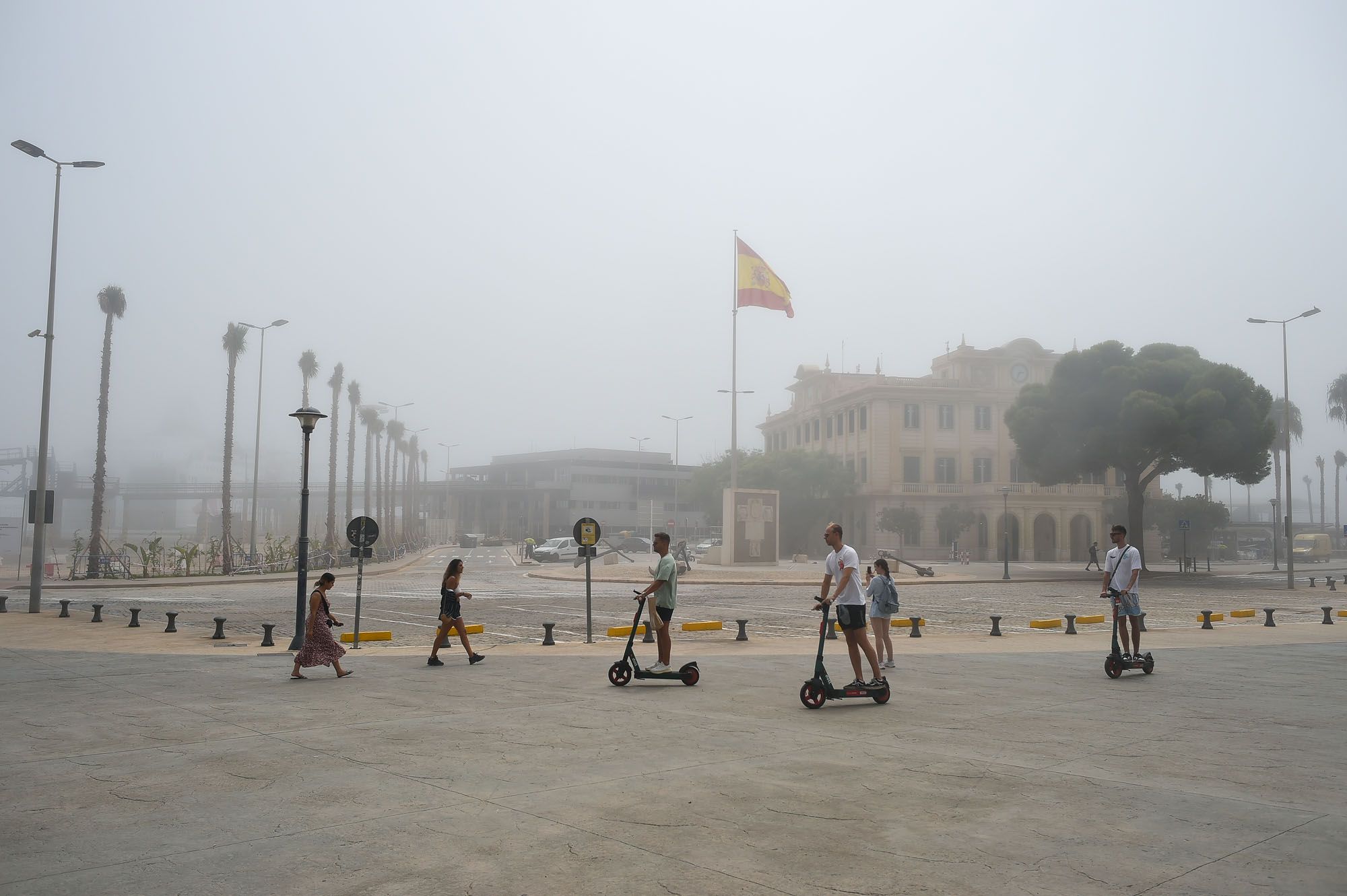 El taró cubre el litoral de Málaga