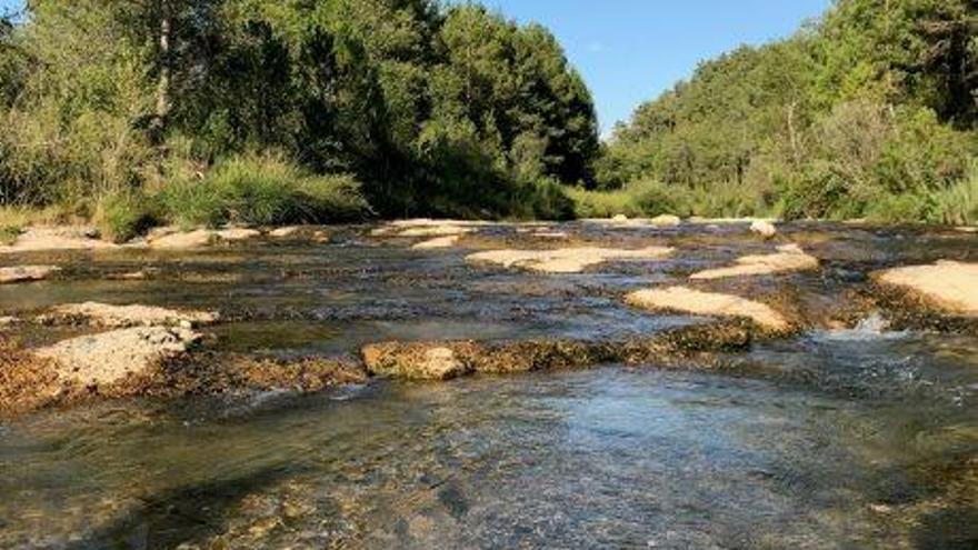 Un dels punts de la Ribera Salada