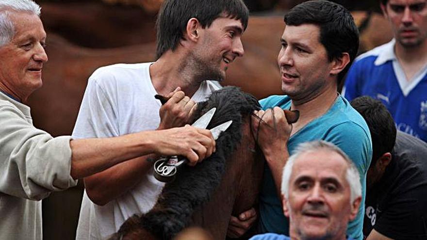 Un momento de complicidad entre Santi Obelleiro y su hermano, con su primo al fondo, sujetando una &quot;besta&quot; en un curro de la Rapa.