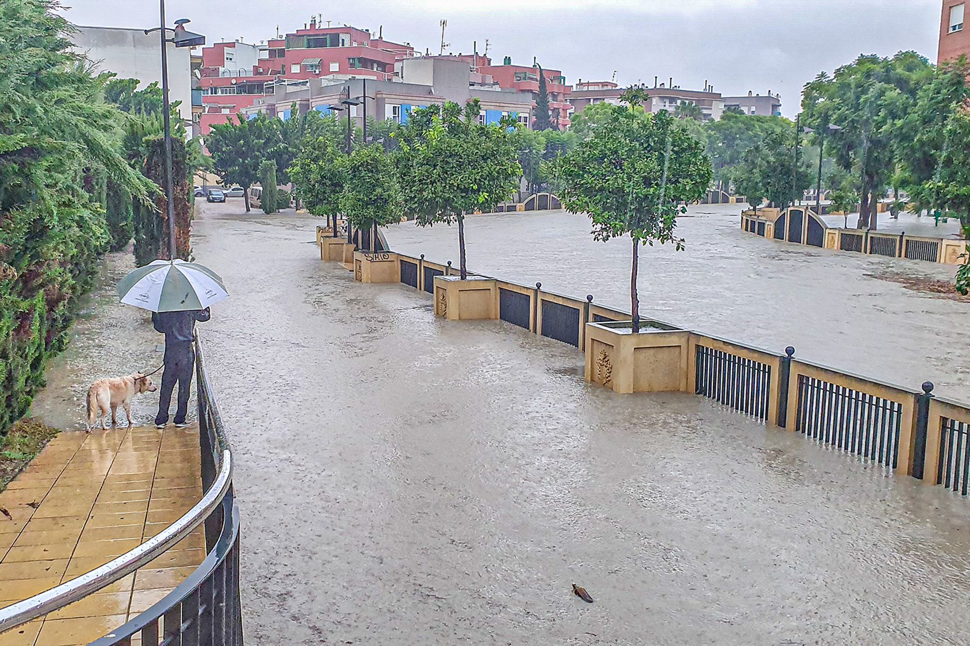 Aquí las imágenes más impactantes de la DANA de septiembre de 2019 por su paso por Orihuela