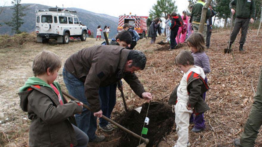 Los agentes forestales ayudaron a los niños en esta tarea.  // Bernabé/Patricia Figueiras