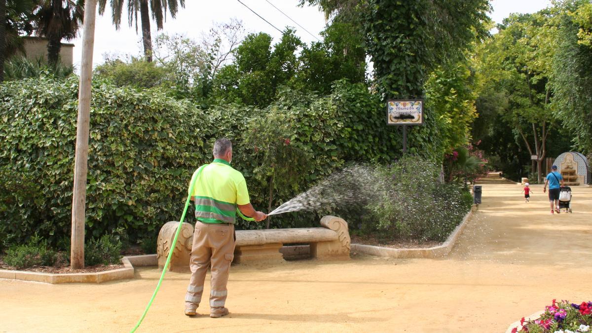 Un operario riega el albero de las Alamedas.