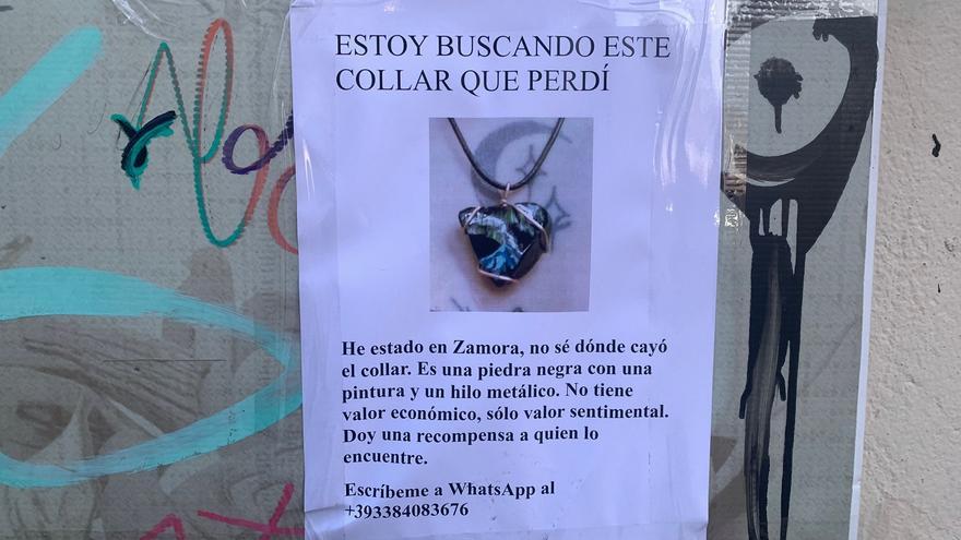 ¿Collar perdido o estafa? Este cartel de Zamora desata la polémica