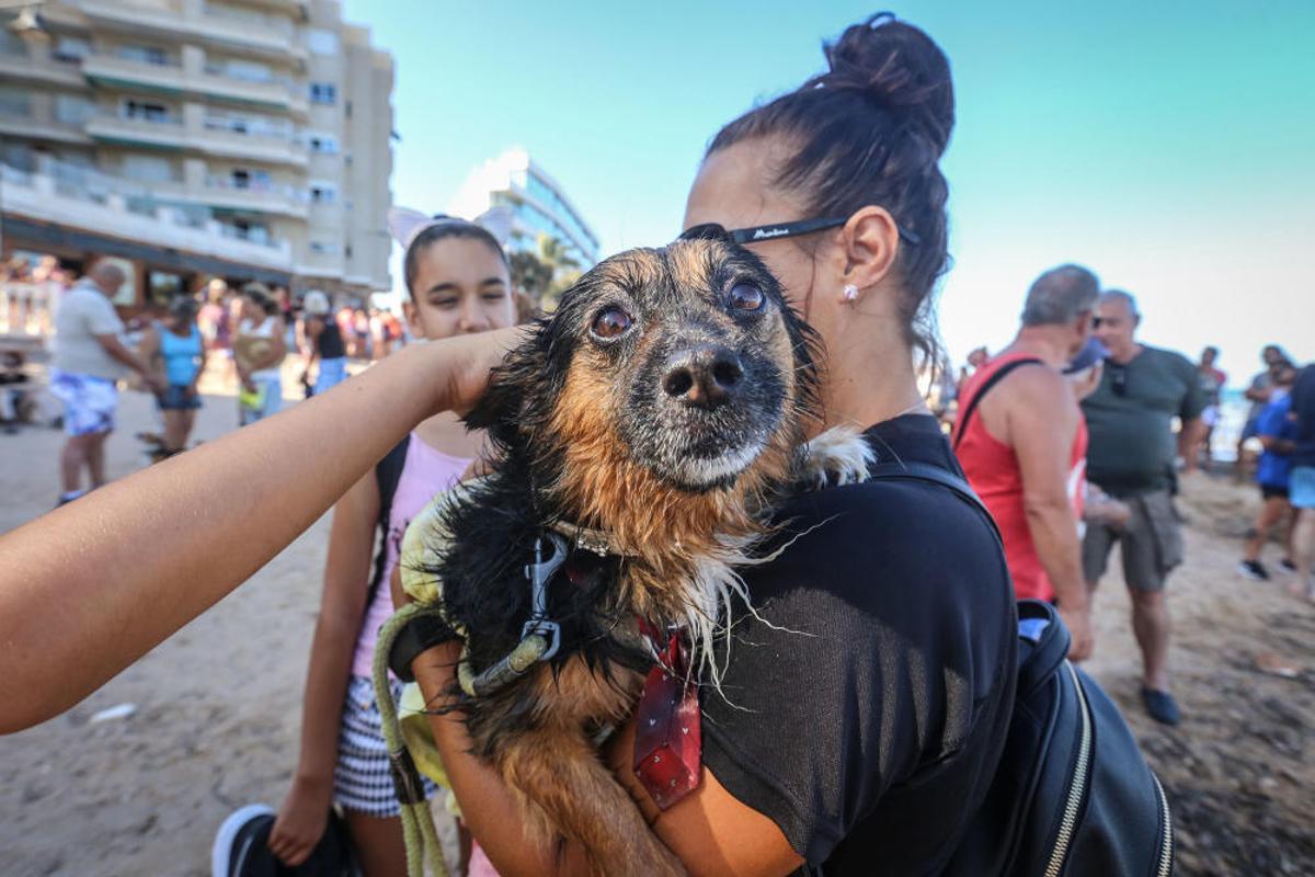 Docenas de usuarios de las playas acompañados de sus perros acudieron a Punta Margallo a pedir respeto y civismo en estos tramos litorales tras los "actos de sabotaje" de las señalizaciones