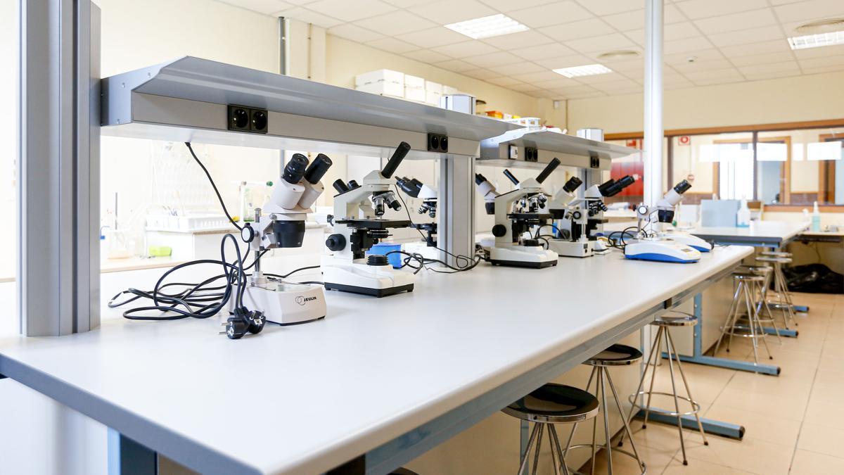 Laboratorios de física, química y biología en el centro.