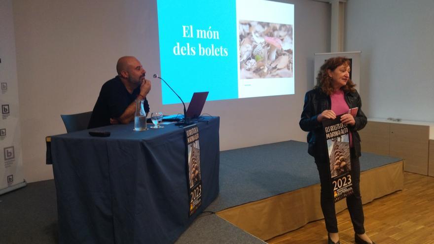 La Marina Alta micológica: Setas en las dunas de les Marines y en los plataneros de Marqués de Campo de Dénia