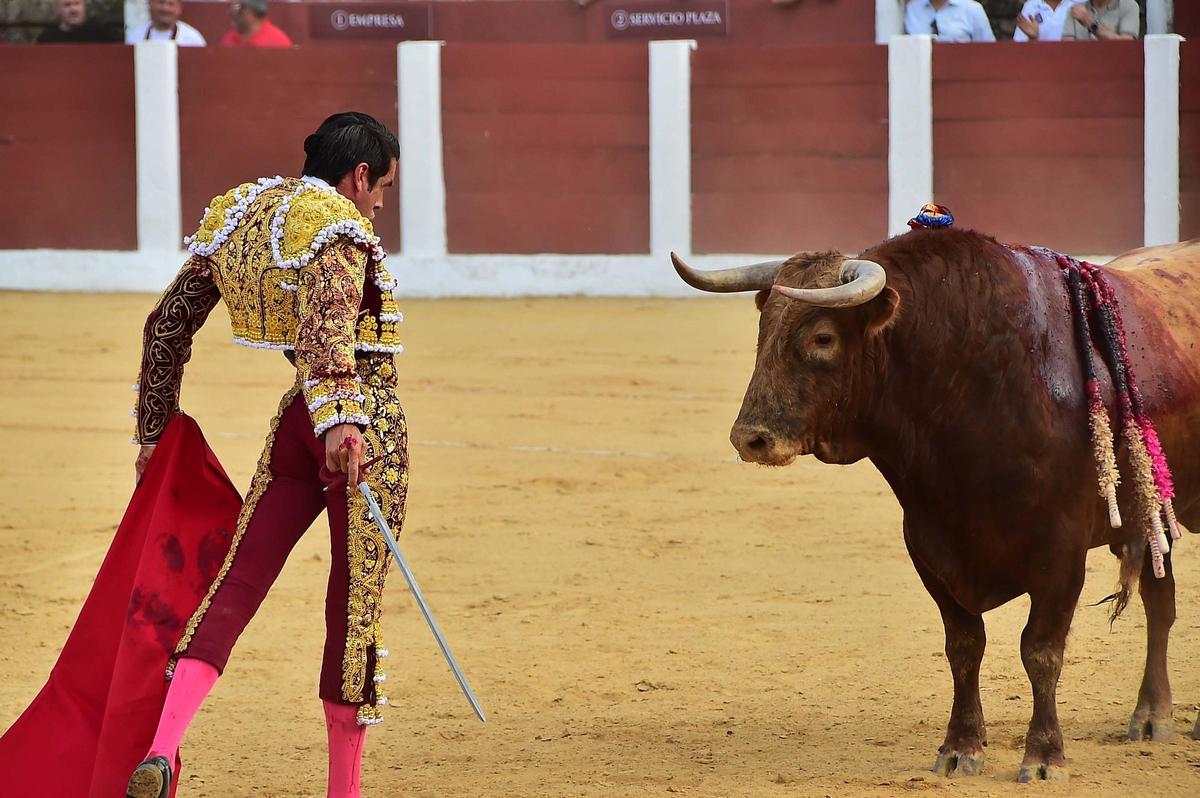 Fotogalería | Las imágenes de la corrida grande de la feria de Plasencia